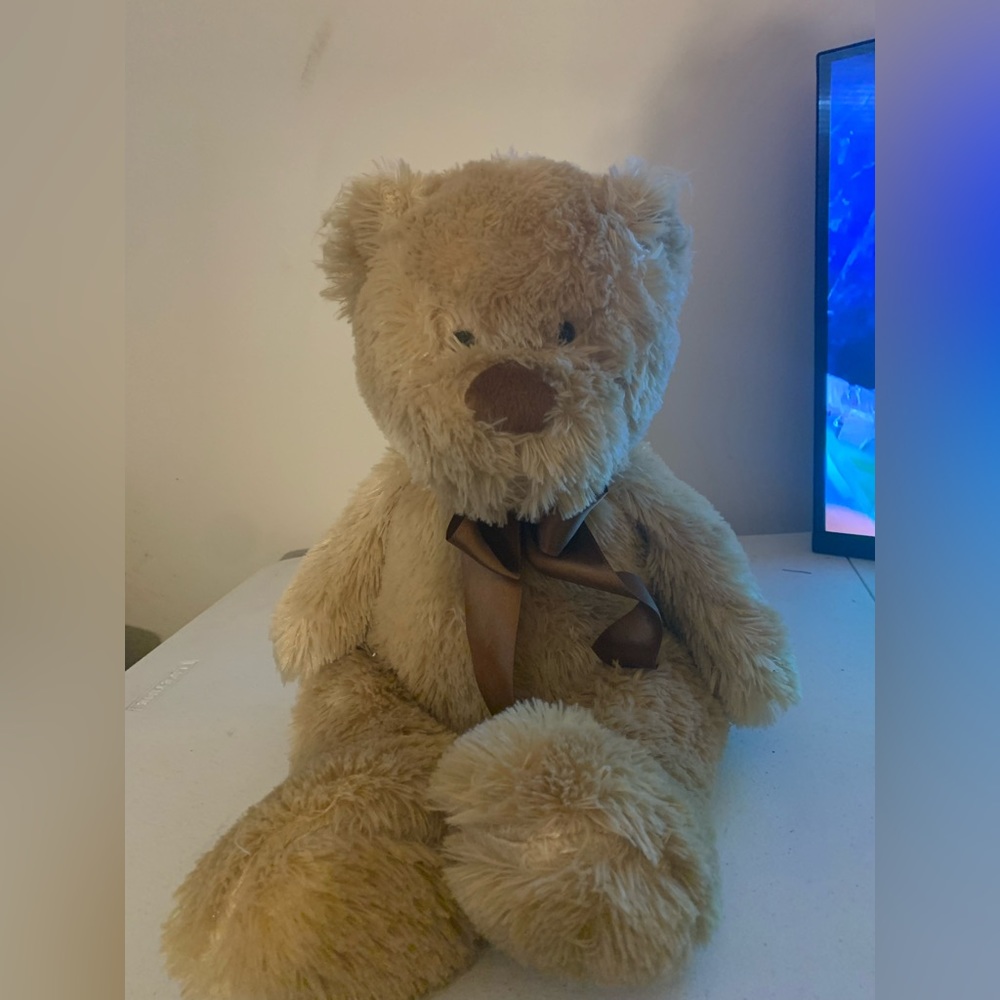 Chocolate Brown Teddy Bear